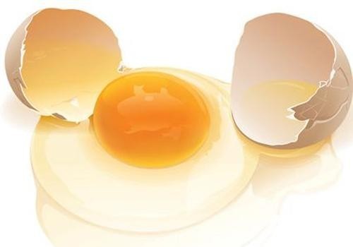多吃鸡蛋可增强老人记忆力